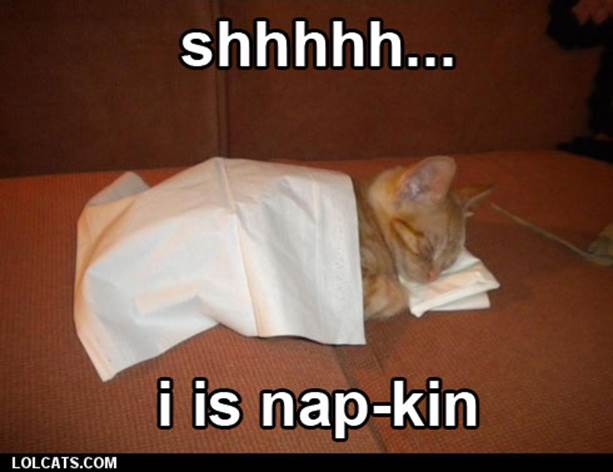 shhhh... i is nap-kin