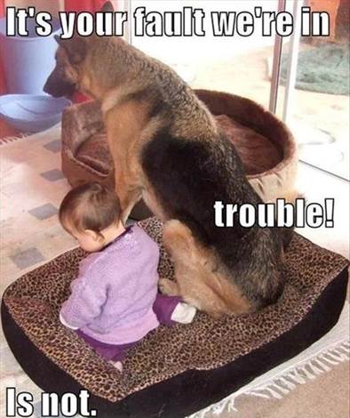 http://jokideo.com/wp-content/uploads/2013/07/Funny-dog-and-baby.jpg