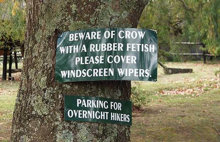 Funny Signs From Around The World (15)