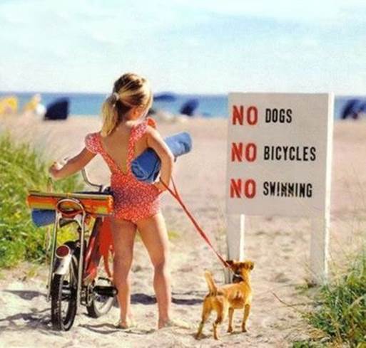 http://data.whicdn.com/images/26123432/nodogsnobikesnoswimming1_large.jpg