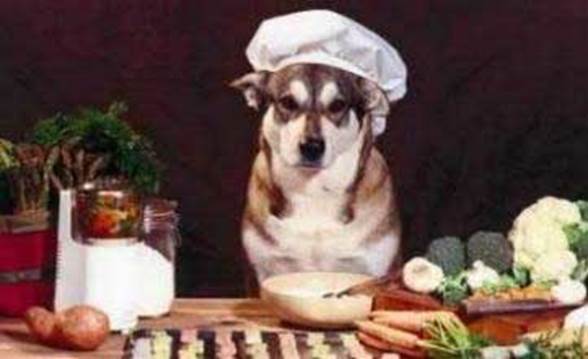 chefdog