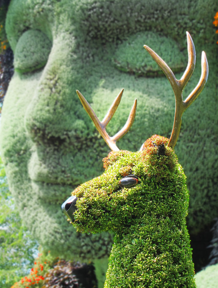 http://www.technocrazed.com/wp-content/uploads/2013/08/Amazing-Plant-Sculptures-In-Montreal-Gardens43.jpg