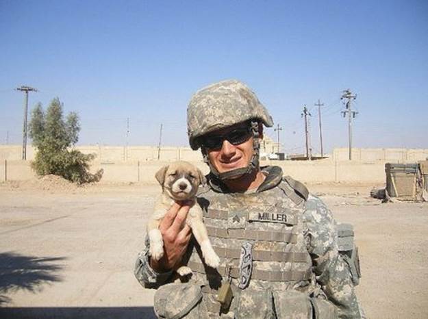 dog soldiers 17 BERRY hot men: Soldiers with dogs (22 photos) 