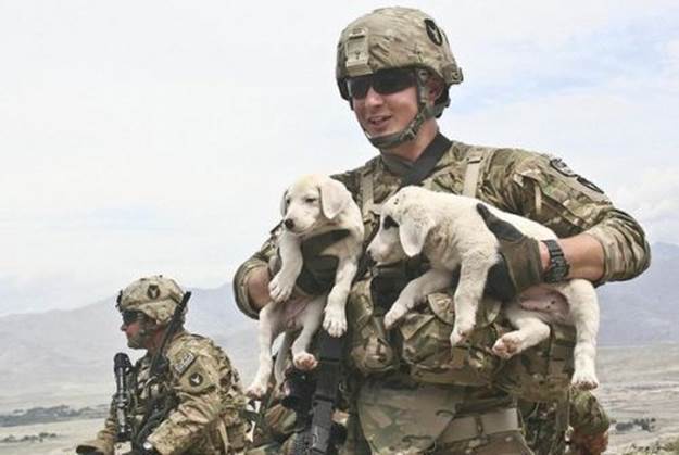dog soldiers 13 BERRY hot men: Soldiers with dogs (22 photos) 