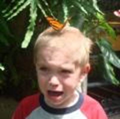 http://serious-internet.biz/crop/120/120/1360/scared-funny-crying-kids-bugs-butterflies-1360368319.jpg