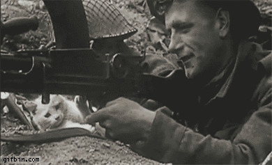 http://gifs.gifbin.com/022012/reverse-1330628731_vintage_soldier_with_kitten.gif