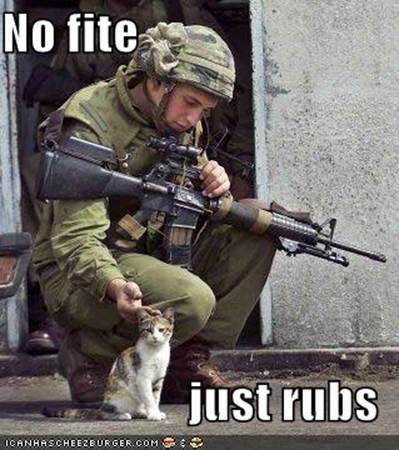 http://www.gamersbin.com/attachments/f15/15011d1332628655-funny-pictures-thread-funny-pictures-soldier-cat.jpg
