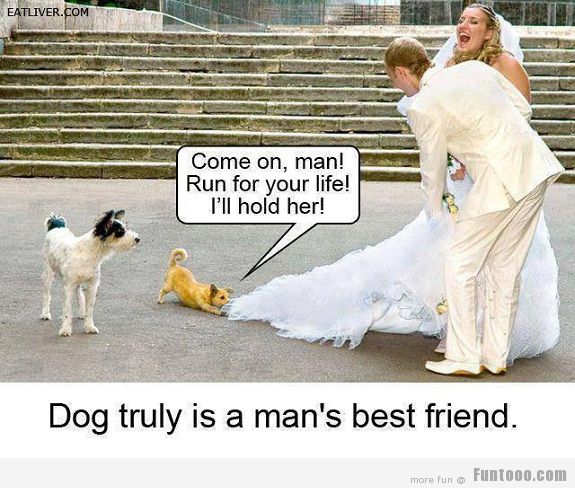 http://funtooo.com/wp-content/uploads/2013/06/A-Dog-Is-Truely-A-Mans-Best-Friend.jpg