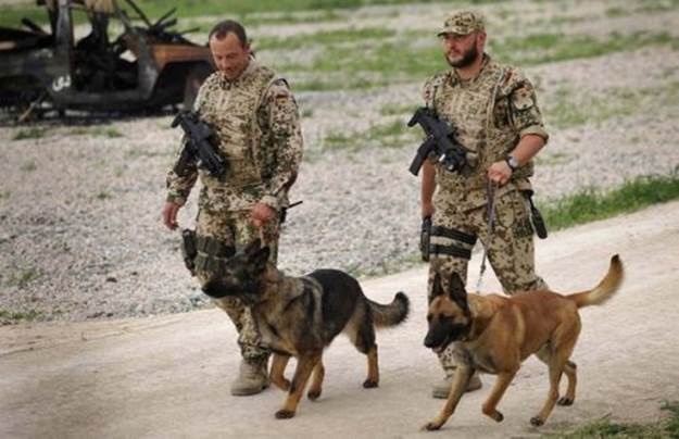 dog soldiers 3 BERRY hot men: Soldiers with dogs (22 photos) 