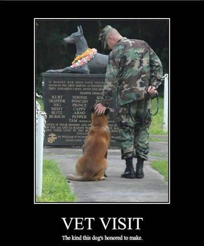 http://www.sanitaryum.com/wp-content/uploads/2011/11/funny-dog-pictures-vet-honored.jpg