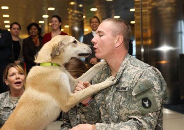 dog soldiers 9 BERRY hot men: Soldiers with dogs (22 photos) 