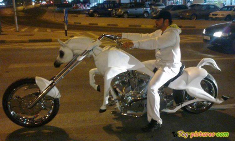 http://www.tag-pictures.com/wp-content/uploads/2012/04/funny-hosre-bike-photo.jpg
