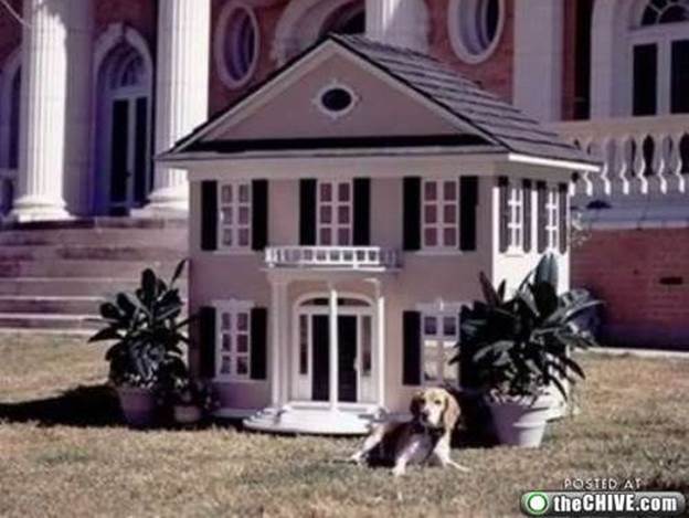 awesome dog houses 8 e1285141971397 Being in the dog house isnt always a bad thing (12 Photos)