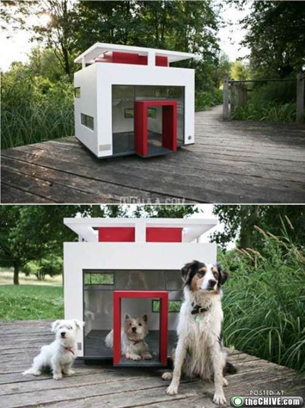 awesome dog houses 2 Being in the dog house isnt always a bad thing (12 Photos)