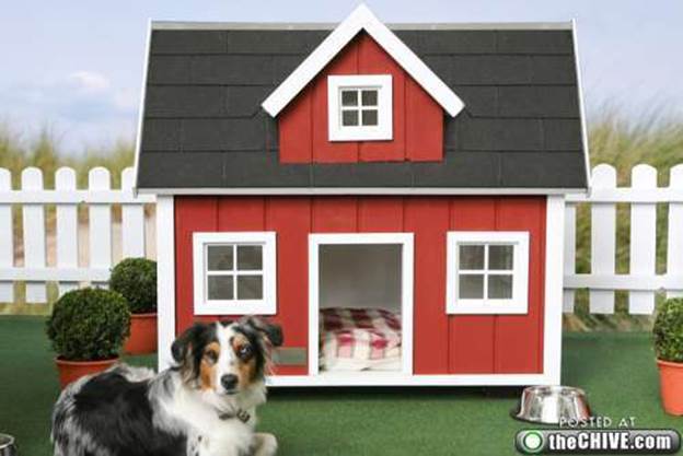 awesome dog houses 4 Being in the dog house isnt always a bad thing (12 Photos)