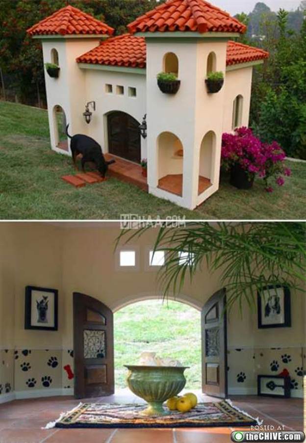 awesome dog houses 0 Being in the dog house isnt always a bad thing (12 Photos)