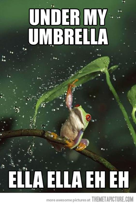 http://themetapicture.com/media/funny-frog-umbrella-leaf-rain.jpg