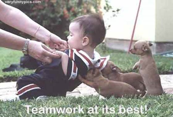 teamwork_2