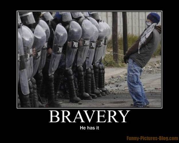 http://funny-pictures-blog.com/wp-content/uploads/2011/05/bravery.jpg