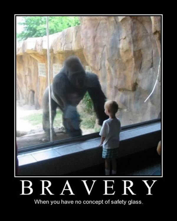 http://de-motivational-posters.com/images/bravery-when-you-have-no-concept-of-safety-glass.jpg