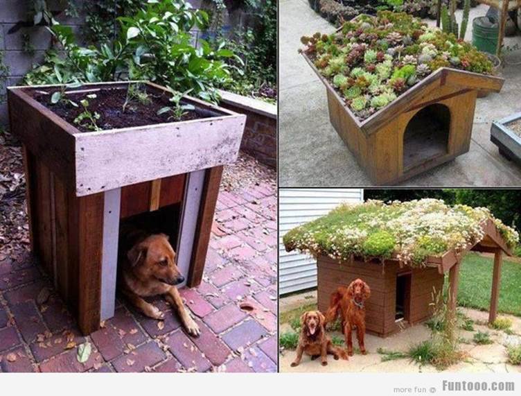 Funny Pet Houses