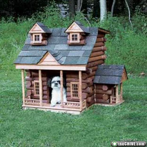 awesome dog houses 7 Being in the dog house isnt always a bad thing (12 Photos)