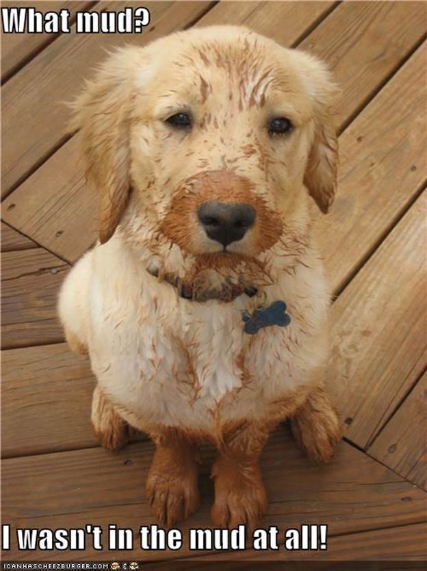 What mud?  I wasn't in the mud at all!