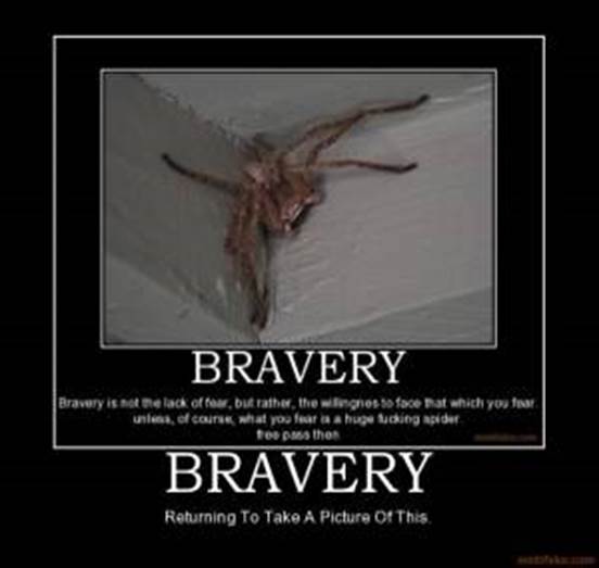 http://www.justsaypictures.com/imagesthumb/bravery-2f52.jpg