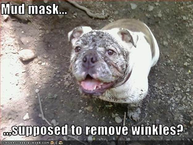 Mud mask...  ...supposed to remove winkles?