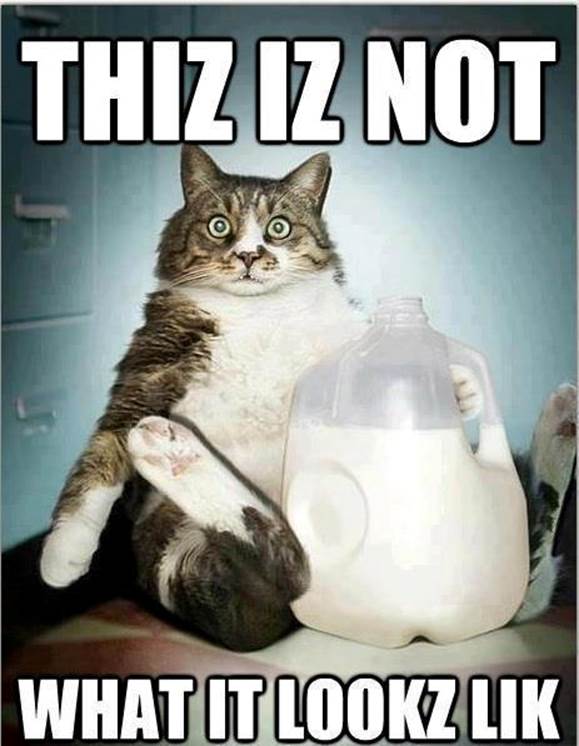 http://llwproductions.files.wordpress.com/2013/07/funny-photo-captions-cat-caught-drinking-milk.jpg?w=642
