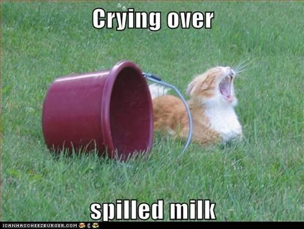http://singlegirlsurvival.files.wordpress.com/2012/07/funny-pictures-crying-over-spilled-milk.jpg