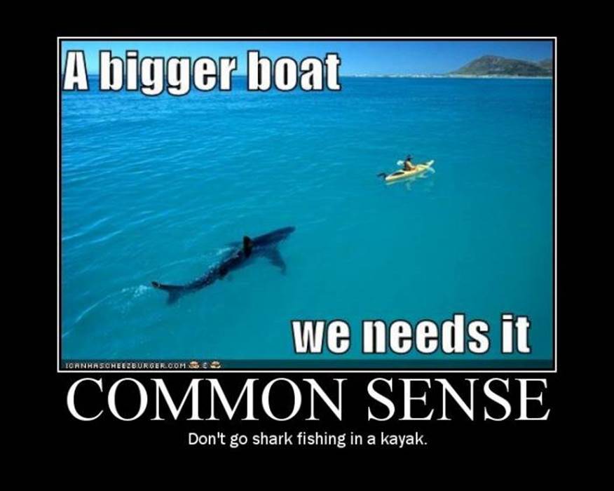 http://www.justsaypictures.com/images/common-sense-02.jpg