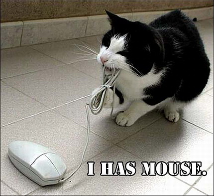 http://www.graphics99.com/wp-content/uploads/2012/07/funny-cat-and-computer-mouse-01.jpg