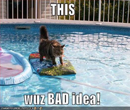 http://theagiledirector.com/sites/default/files/field/image/funny-pictures-cat-surfing-pool%20-%20small.jpg