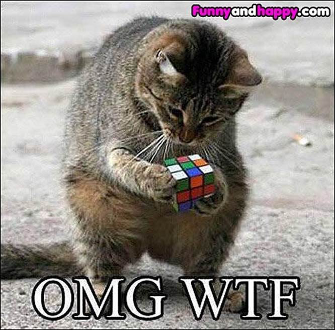 http://www.funnyandhappy.com/wp-content/uploads/2013/02/Cat-and-Rubiks-Cube.jpg