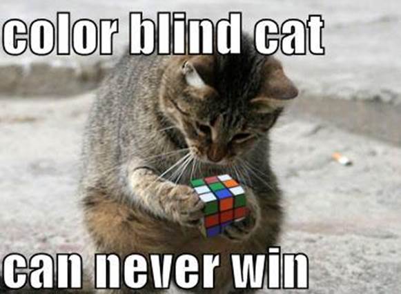 http://xkcd.nl/XH/funny-pictures-color-blind-cat-rubiks-cube.jpg