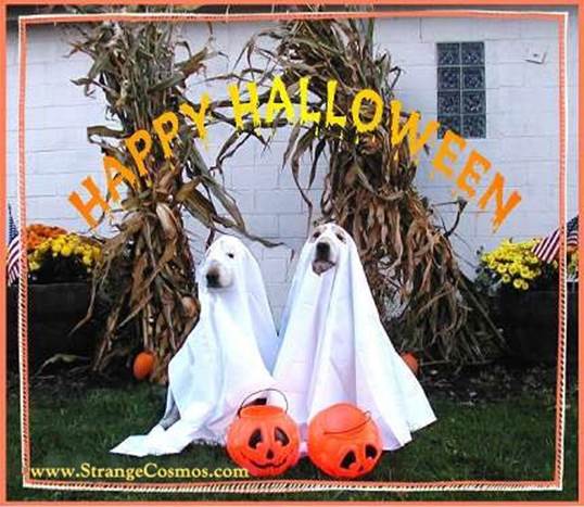 Halloween Ghosts Spooky Spirit Ceramic Beads  Pair of Ghouls
