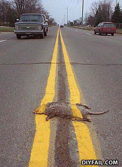  - i wanna see it when the road kill is gone, is that