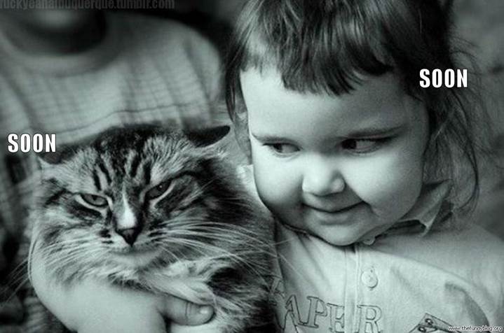 http://littlewhitelion.com/wp-content/uploads/2013/03/soon-soon-mean-kid-cat-funny-little.jpg