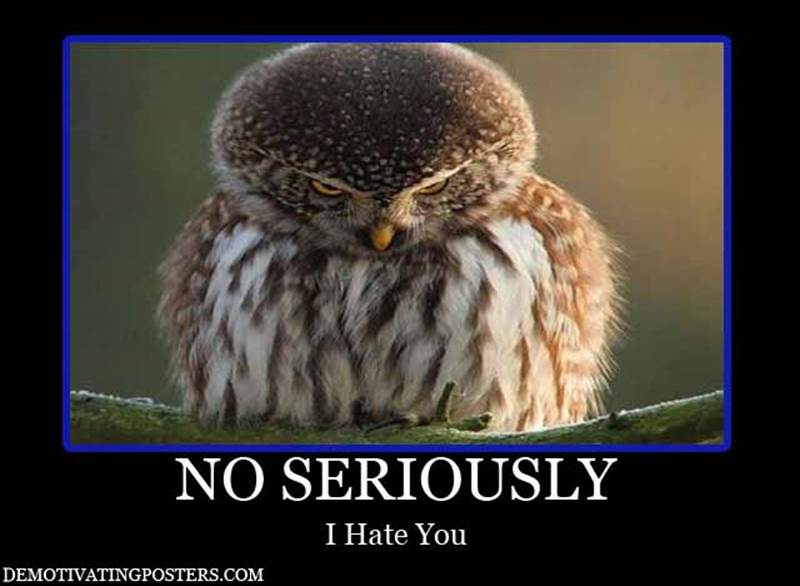 http://www.demotivatingposters.com/wp-content/uploads/2010/12/seriously-serious-owl-owl-demotivational-poster-funny-posters.jpg