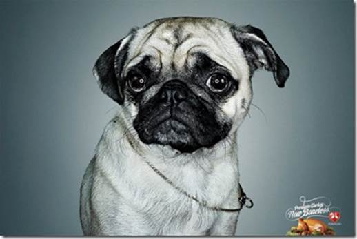 http://www.vuing.com/pictures/FunnycommercialadvertisementSaddogs_F026/creativeinterestingfunnycommercialadsaddogs1_thumb.jpg