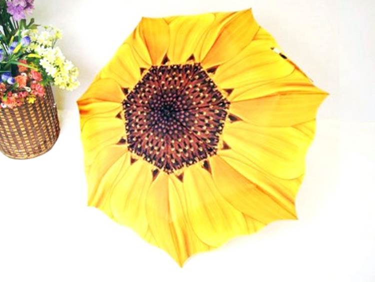 http://i00.i.aliimg.com/wsphoto/v0/539543692_1/Free-shipping-wholesale-30pcs-creative-fashion-sunflower-umbrella-romantic-cute-sunshade-solar-folding-umbrella-Novelty-gift.jpg