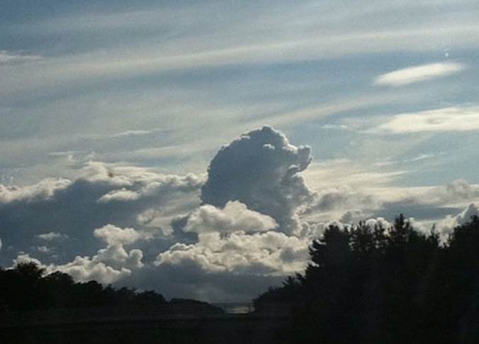 http://cdn.themetapicture.com/media/funny-Mufasa-cloud-formation-real.jpg