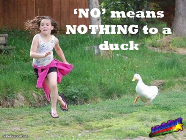 Watch For Ducks