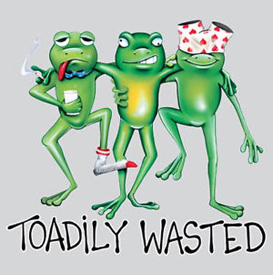 http://i.ebayimg.com/t/T-Shirt-Toadily-Wasted-Funny-Frogs-Tee-Shirt-All-Sizes-T-shirt-/00/s/NDAwWDQwMA==/$(KGrHqVHJ!0E8e3m0dB7BPJY60Os!w~~60_35.JPG