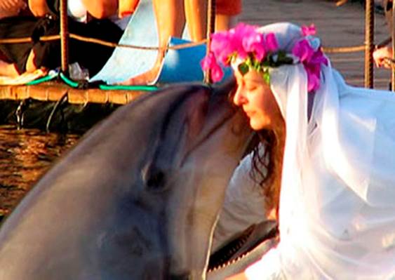 The Millionaire Woman Who Married a Dolphin (2005)