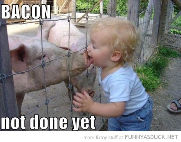 http://funnyasduck.net/wp-content/uploads/2012/12/funny-kid-baby-boy-kissing-pig-bacon-not-done-yet-pics.jpg