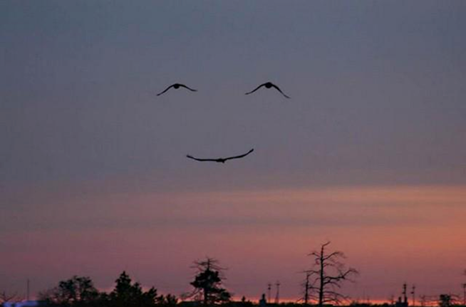 perfect timing face in the sky Perfect Timing Funny Photo Gallery #3