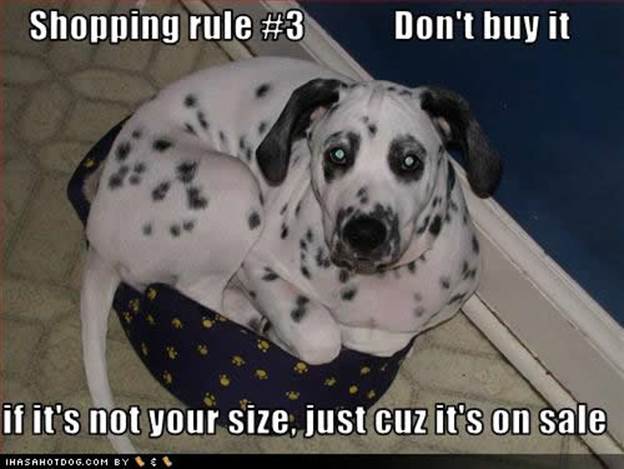 http://en.louloumagazine.com/wp-content/uploads/2012/12/funny-dog-pictures-shopping-rule1.jpg