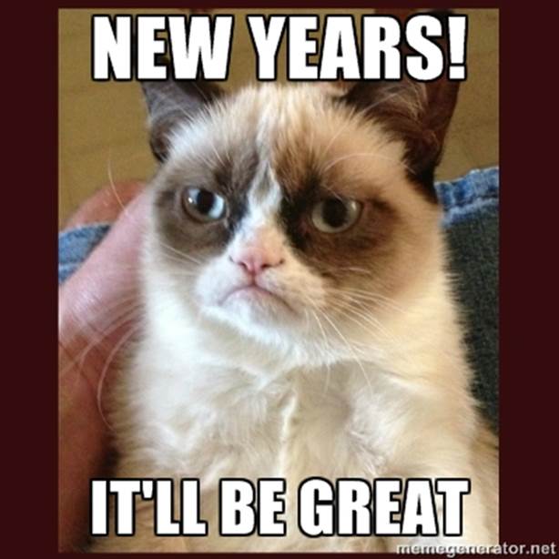 http://animalify.com/wp-content/uploads/2013/10/grumpy-cat-new-yearnew-years-eve-jwrjm6qu.jpg